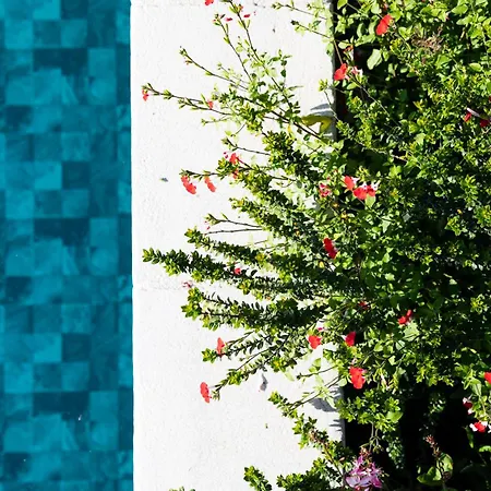 Bed & Breakfast El Patio *