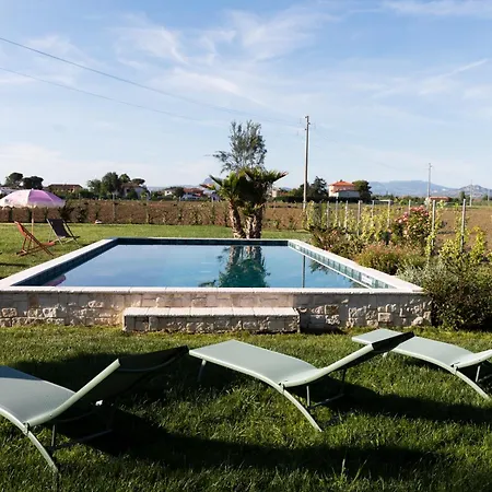 El Patio Bed & Breakfast
