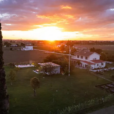 El Patio *