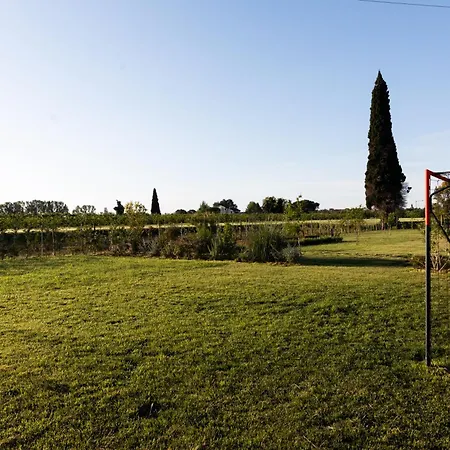 El Patio San Vito (Rimini)